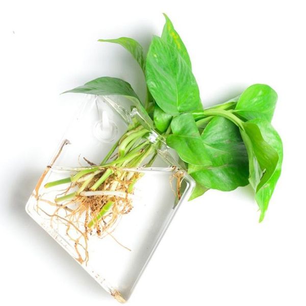 

vases adeeing creative wall-hanging glass vase for hydroponic plants home office decoration gift