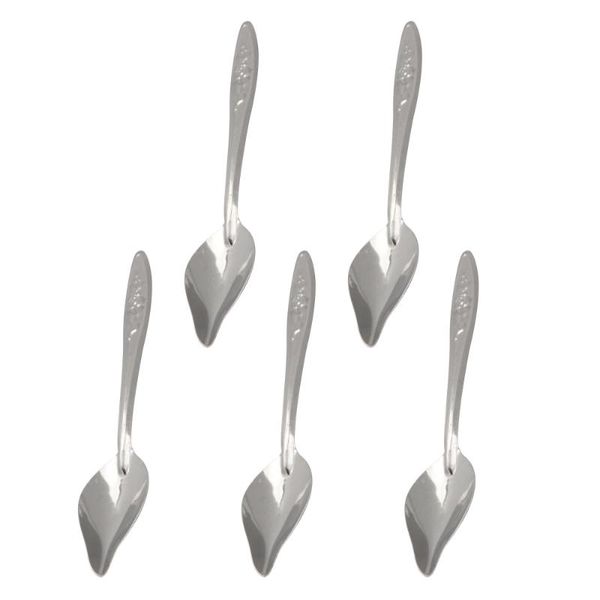 

other bird supplies 5pcs parrot food feeding scoop stainless steel liquid spoon for cockatiel