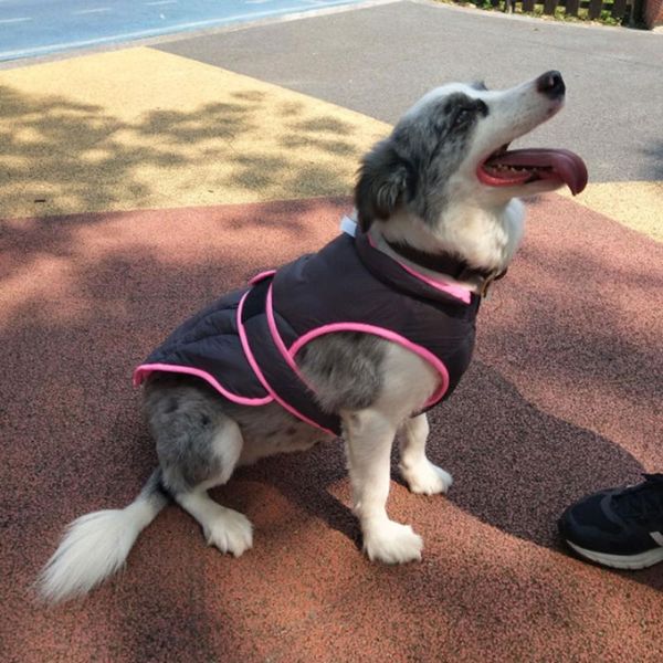 

dog apparel two wearing jacket snowproof windproof coat reflective warm clothes autumn winter vest for small medium big