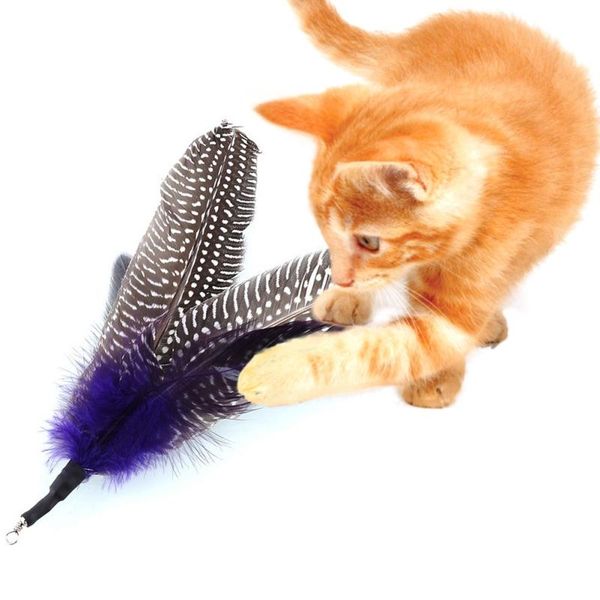 

cat toys 5pcs pet refills for bird feather wand toy interactive refill home drop