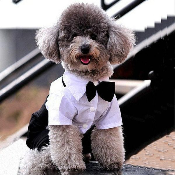 

dog apparel spring summer fashion pet clothes white blouse with black four-legged breathable fabric comfort