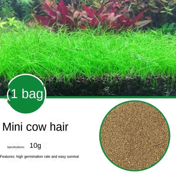 

aquarium plants,aquarium decoration,water grass, quickly landscaping aquatic plants ,aerobics for fish breeding,8g/pack [set] decorations