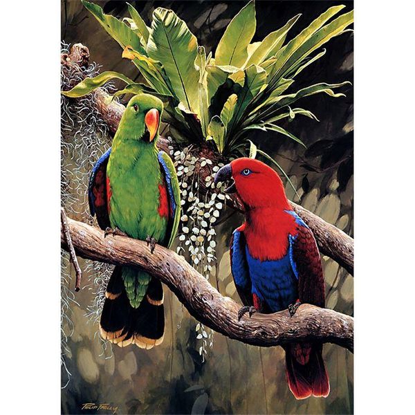 

diamond painting parrots 5d full drill embroidery cross stitch kits diy rhinestone crystal home decoration craft