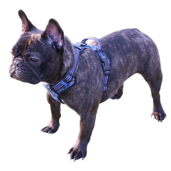 

dog collars & leashes pet harness adjustable soft breathable leash set for s/m dogs puppy collar cat chest strap 2021