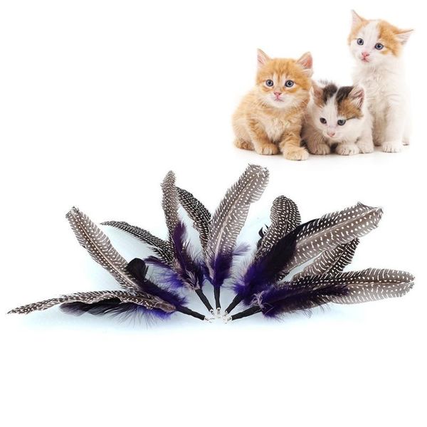 

cat toys 5 pcs pet feather toy diy replace for cats teaser stick replacement kittens wand heads replacements accessories