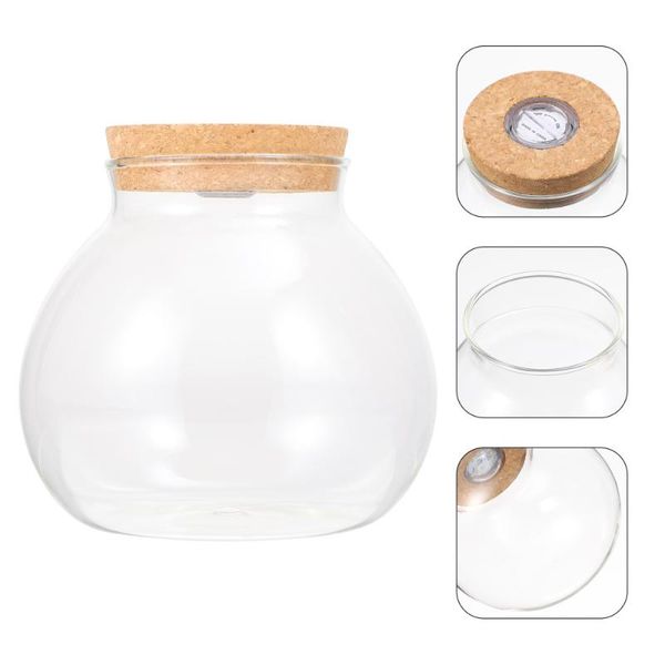 

vases diy landscape terrarium bottle container glass