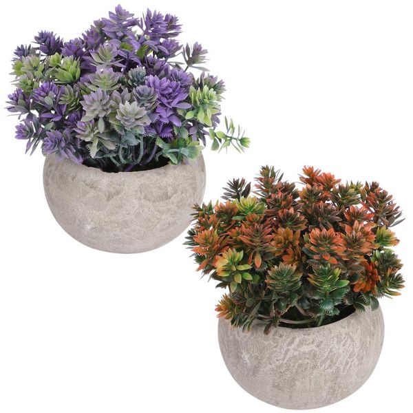 

decorative flowers & wreaths 2pcs natural succulent plants adorn lifelike bonsai decor home artificial