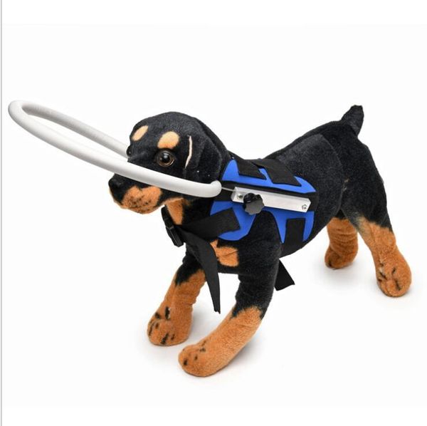 

blind dog halo collar guide training behavior aids fit small big dogs prevent collision collars supplies & leashes