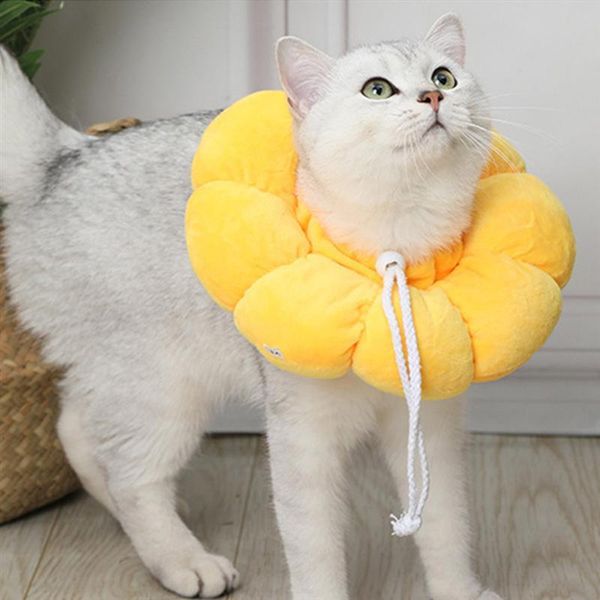 

cat collars & leads 1pc elizabeth collar pp cotton pet circle wound healing anti bite sun flower yellow sunflower