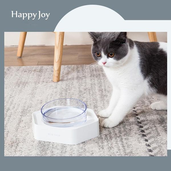 

cat bowl face protection cervical spine feeding and drinking pet transparent plastic bowls & feeders