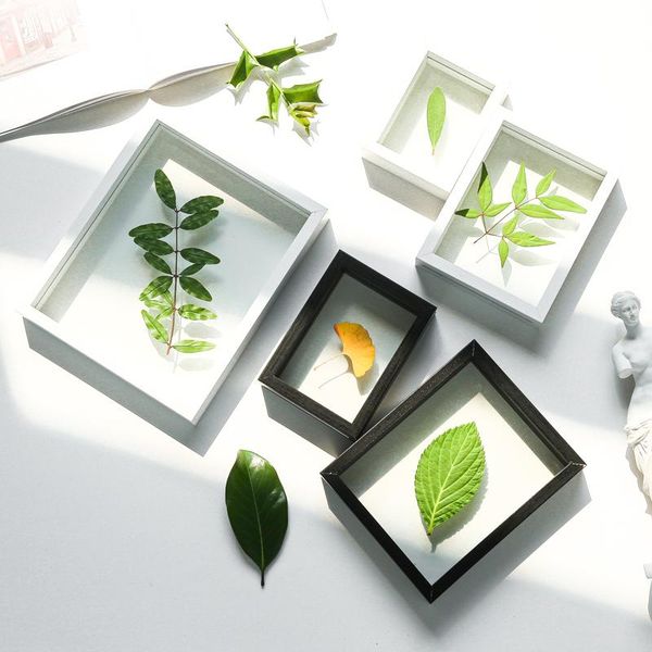 

frames creative diy handmade children's plant specimen box double-sided transparent simple modern stereo po frame 6789-inch