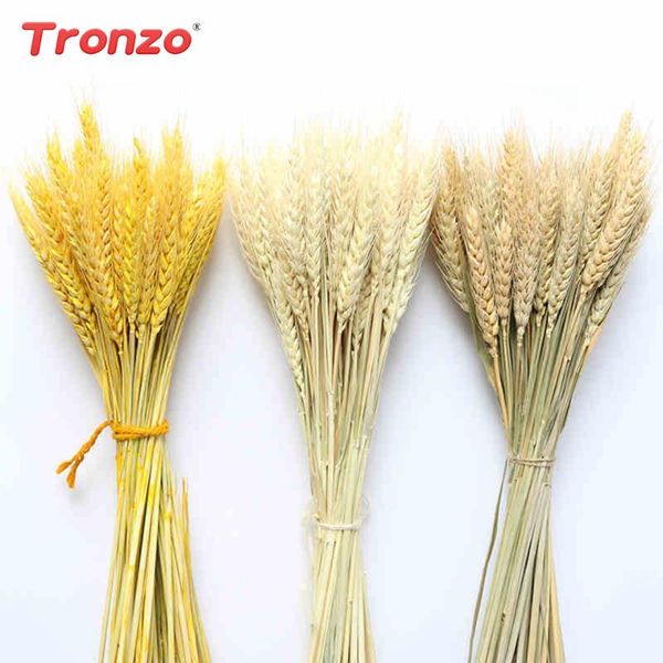 

decorative flowers & wreaths tronzo 100pcs natural wheat ear dried flower bouquet pastoral decoration gift shooting prop wedding party home