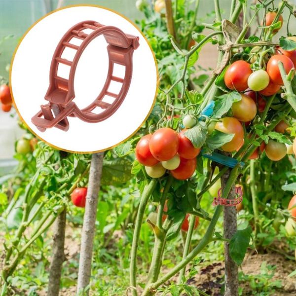 

other garden supplies 100pcs clip set greenhouse tomato stem support clips plant