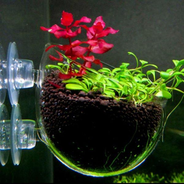 

fish & aquatic pet supplies, cultivation cup plant pot with suction cups for tank aquarium decorations
