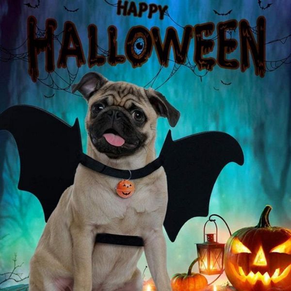 

cat costumes arrival black bat wings pet wing for puppy/kittens fancy dress up outfit party halloween