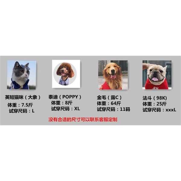 

pet cat and dog cloth spring summer anti hair air conditioning clothing small medium-sized golden wool labrador