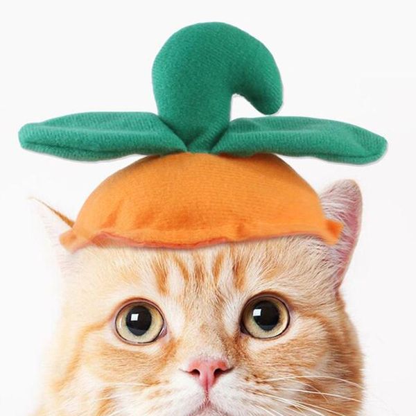 

dog apparel 2021 pet funny headgear cat halloween hat green leaf pumpkin hood supplies