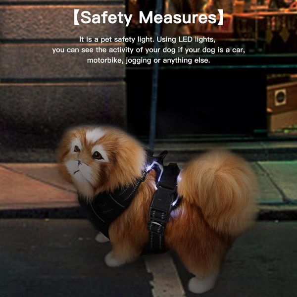 

dog collars & leashes 2021 black heavy duty soft padded comfort control adjustable led collar harness pet chest strap usb rechargeable