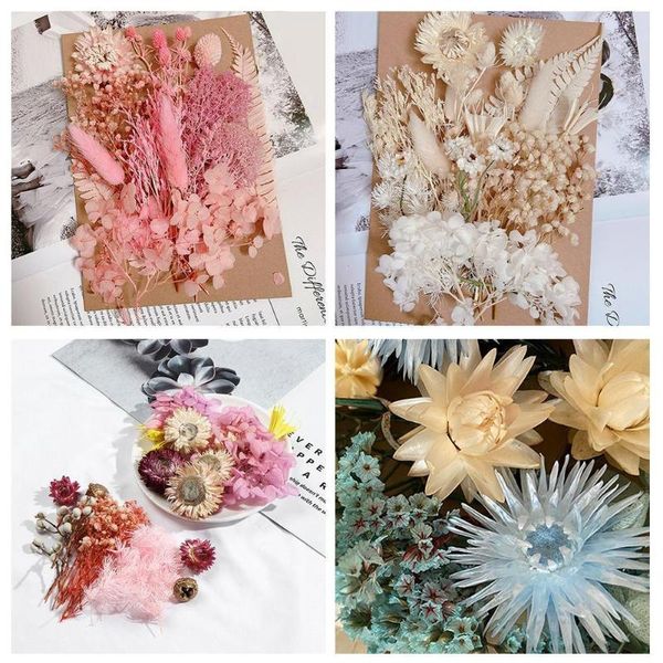 

pressed flowers mini dried diy scrapbooking wedding for home christmas party decoration flores secas navida c9s5 decorative & wreaths