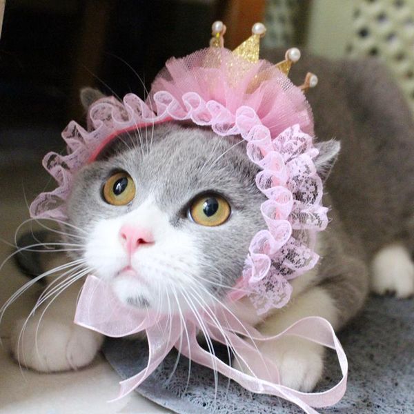 

cat costumes [mpk headwear] beautiful hat, pet hair accessories, headwear, birthday crown