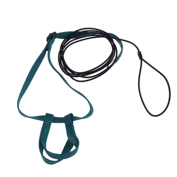 

adjustable pet bird parrot harness leash for outdoor walking size xs (random color) other supplies