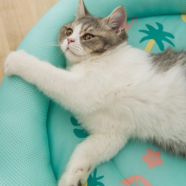 

cat beds & furniture summer cool feeling dog bed fashion donuts mat breathable pad household pet sofa for small dogs and cats puppies