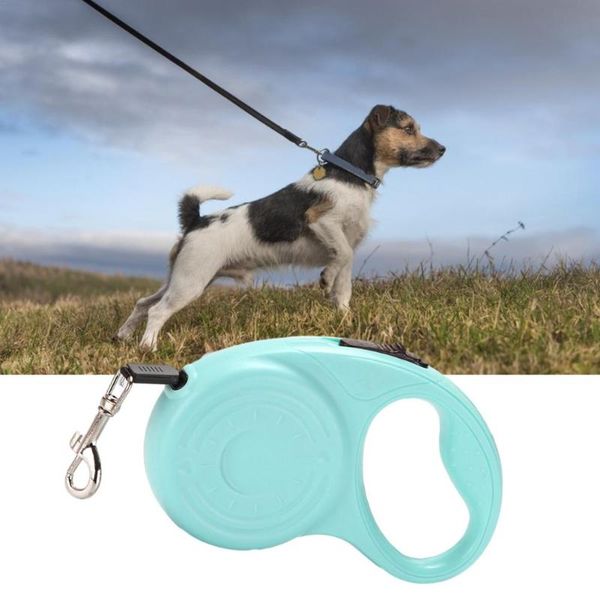 

dog collars & leashes leash automatic retractable pet adjustable extending rope for puppy cats handle walking accessories 2021