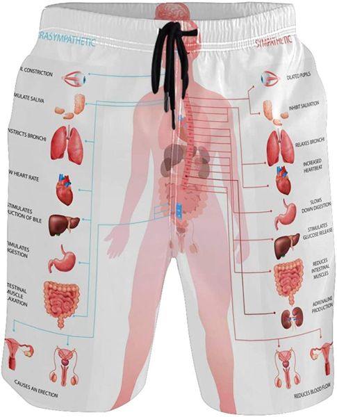 

educational human body nervous system men's swim trunks quick dry shorts with pockets, White;black