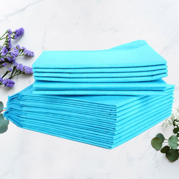

10pcs disposable pet pee pads deodorant diapers training wee (medium 45x60mm, random blue and white) dog apparel