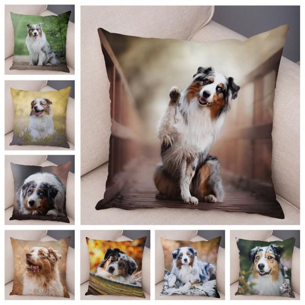 

cushion/decorative pillow cute australian shepherd dog case covers decor pet animal cushion cover for sofa home children room soft plush pil