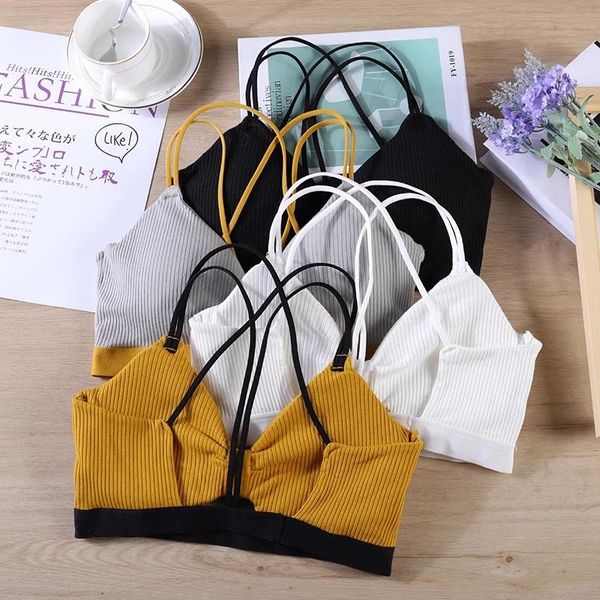 

shockproof fitness suit sport bra athletic gym yoga accessories women breathable anti-sweat crop running workout outfit