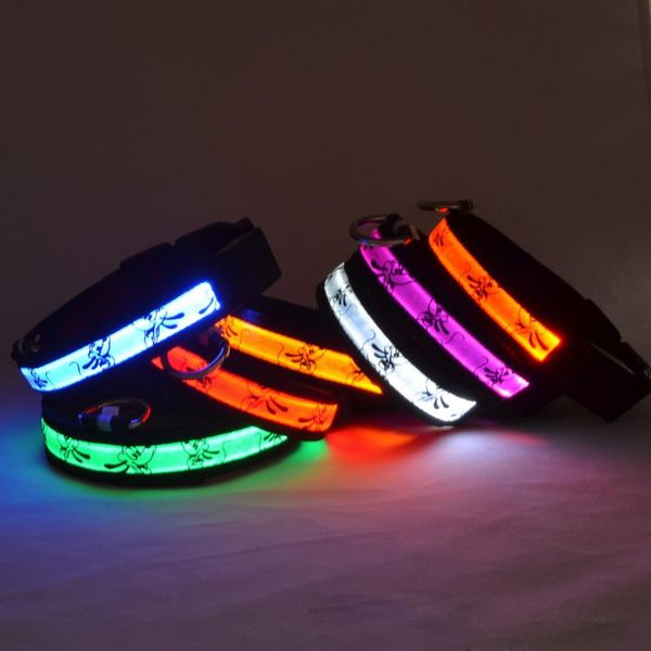 

luxury elegant one pieces pet products led illuminate collars goods dog & leashes