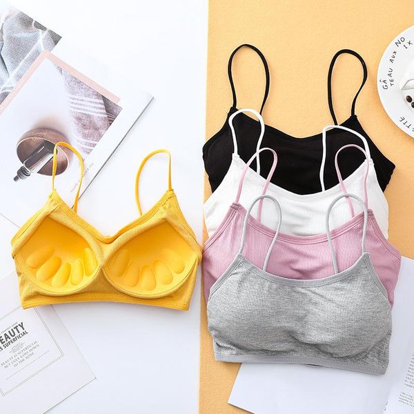

sports bra for women gym tube female streetwear sleeveless camis seamless lingerie tee crop yoga outfit