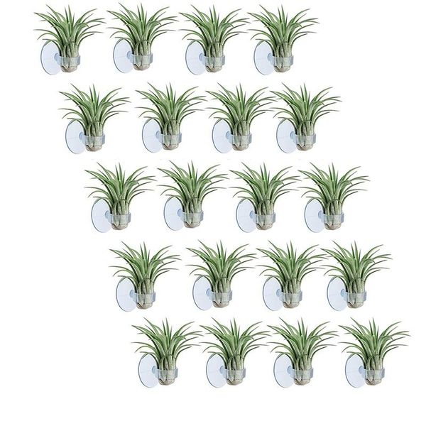 

air pumps & accessories 20 pcs plant holder, pot tillandsia holder hanger with suction cup for hanging (plants not included)