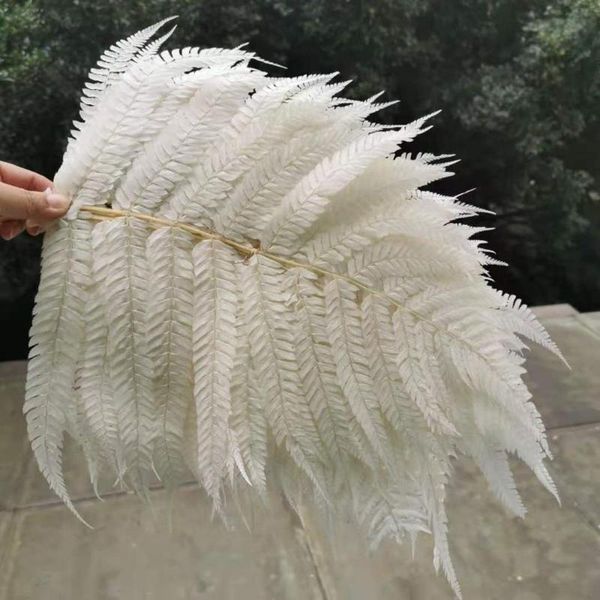

25*40cm/10pcs,natural fresh preserved fiddlehead ferns,eternelle flower leaves for wedding home decoration accessories decorative flowers &