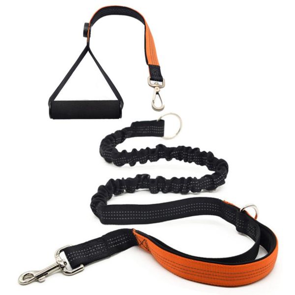 

dog collars & leashes nylon two three dogs led leash detachable pet lead climbing foam handle 1 for 2 or 3 small traction rope