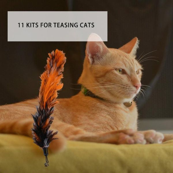 

cat toys 11 pcs replacement feather toy set, teaser wand for kitten having fun exercise playing without the stick
