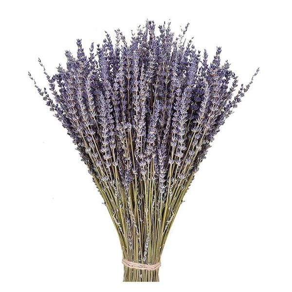 

novelty items 250g natural dried flower bouquet lavender for party home wedding decoration about 200pcs