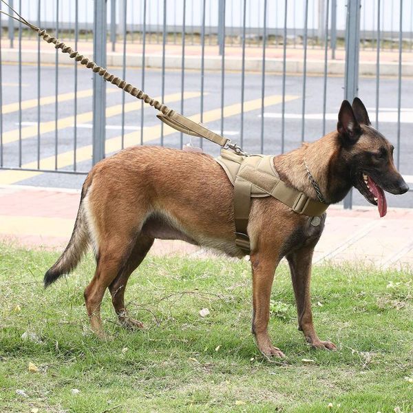 

dog collars & leashes tactical training vest lightweight clothing spring and summer k9 chest strap comfortable