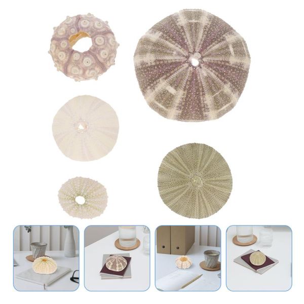 

novelty items 5pcs sea urchin decors aquarium decorations ornaments desktop