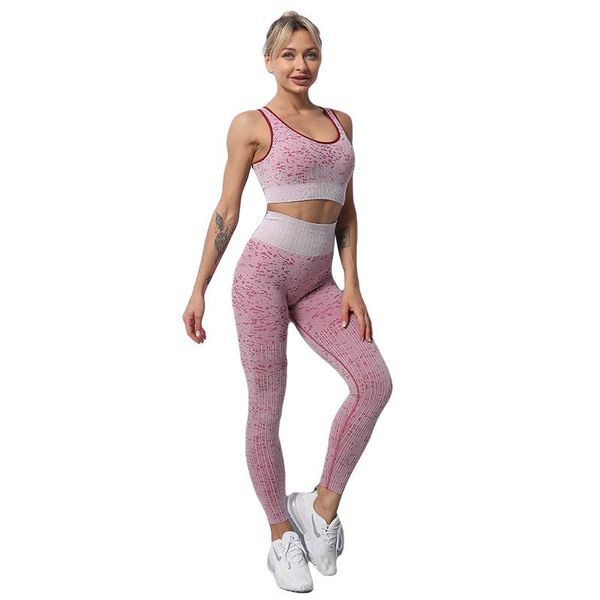 

yoga outfit 2 piece set quick-drying seamless fitness bra crop sport long pants