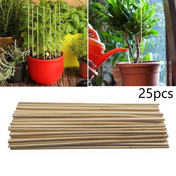

other garden supplies trellis plant support sticks kit plants stakes tomatoes