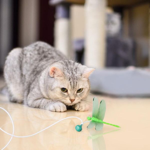 

pcs colorful beaded plush balls and feathers teaser cat toys