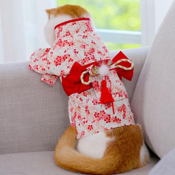 

cat japanese kimono costumes