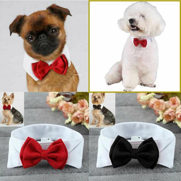 

dog apparel lovely fashion adjustable pet bow tie-collar necktie bowknot clothes for cat supplies