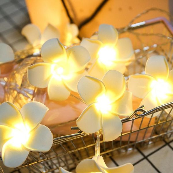 

strings light string frangipani flower led fairy battery home party holiday wedding xmas outdoor decoration