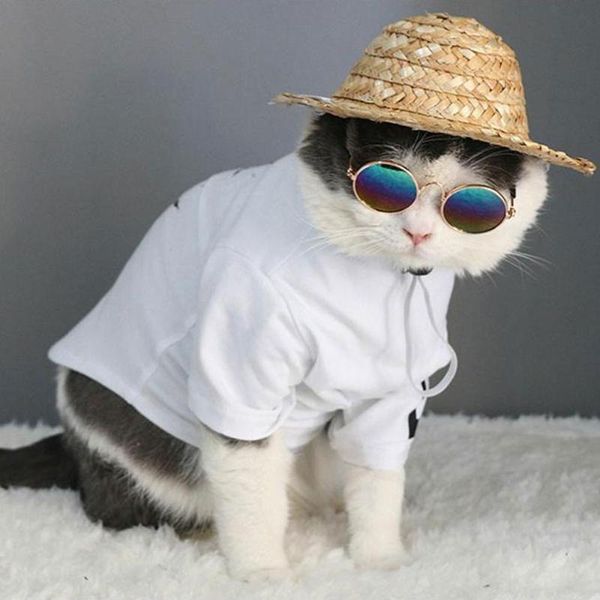 

dog apparel pet supplies mini dogs straw hat cat sun beach party hats hawaii style for funny accessories