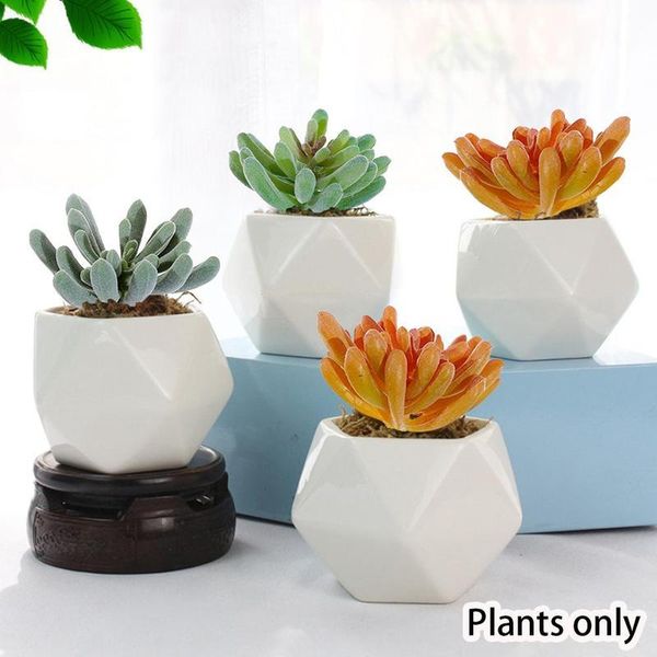 

green flocking artificial succulents plants home garden decoration flower arrangement bathroom accessories decorative flowers & wreaths