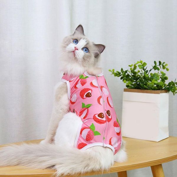 

cat costumes breathable cotton physiological clothes female sanitary jumpsuits prevent after wear anti pet licking wounds