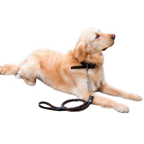 

dog collars & leashes black brown pet traction rope+spring leather collar adjustable for outdoor walking s-l